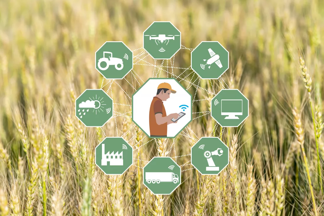 grain-production-with-modern-farming-technologies-farmer-doing-agricultural-jobs-by-mobile-phone