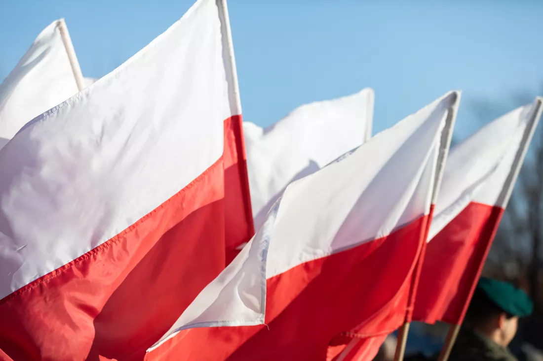 Nauczanie języka polskiegov